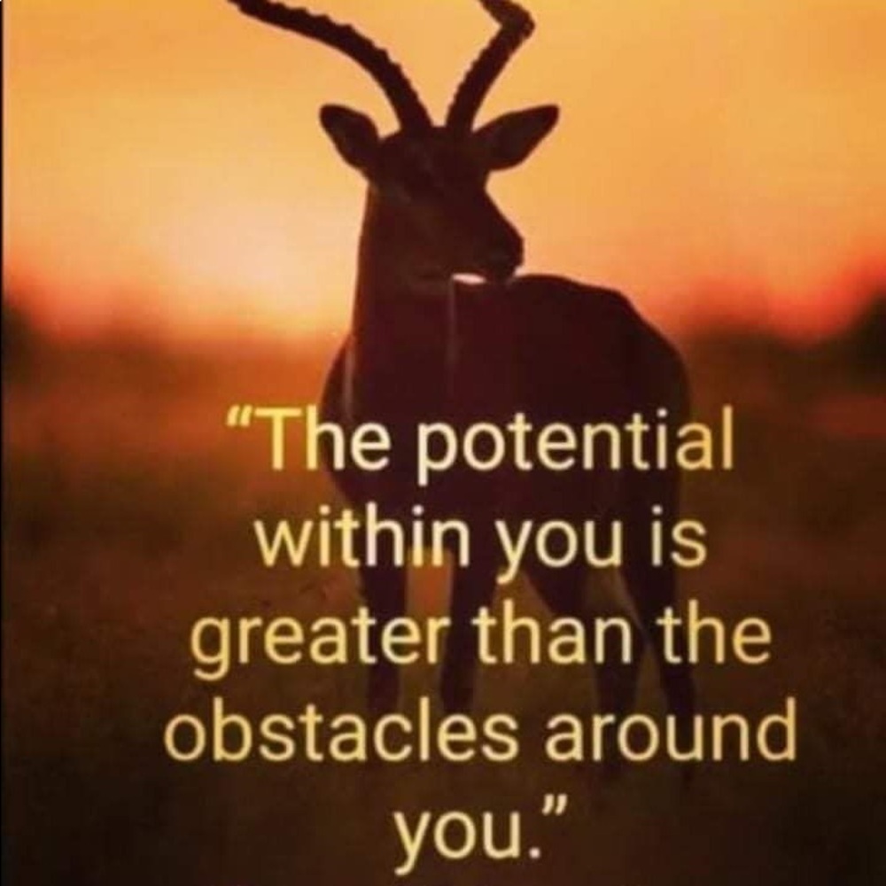 Encourage Yourself - Picture 8 of 8